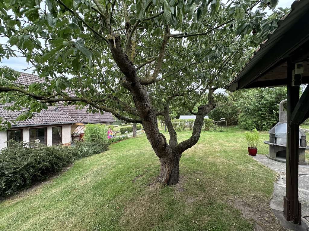 Immobilie in Damshagen - Traumhaftes Anwesen 3963 m² /Alleinlage gegenüber vom Gutshaus in Parin/ Blick auf den großen Teich - Bild 3