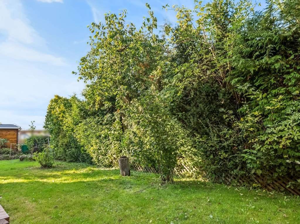 Immobilie in Lingerhahn - Naturnahes Einfamilienhaus mit Gestaltungspotential in Lingerhahn - Bild 2