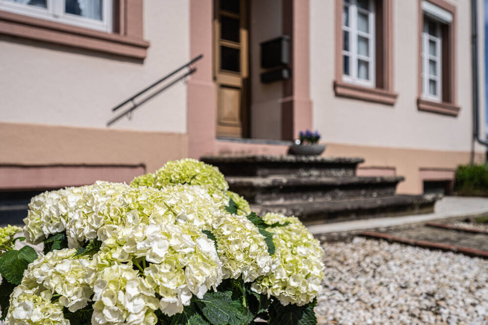 Immobilie in Sülm - Liebevolles Bauernhaus aus 1834 mit Nebengebäuden und schönem Garten. - Bild 1