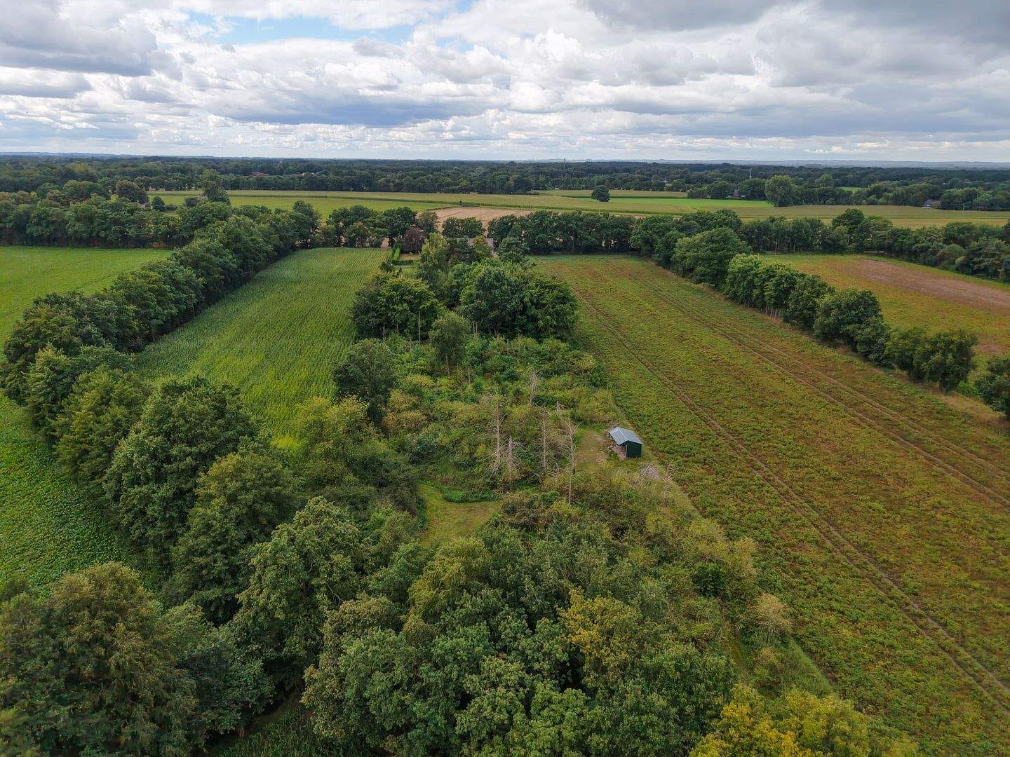 Immobilie in Nordhorn - Freistehendes Wohnen im Grünen – mit Nebengebäude, Doppelgaragen und ideal für Mehrgenerationenwohnen - Bild 1