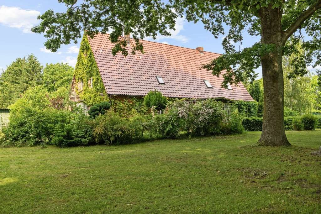 Immobilie in Mistorf - Altes Gemäuer sucht neue Hände – ländliches Sanierungsobjekt mit Gartenidylle - Bild 1