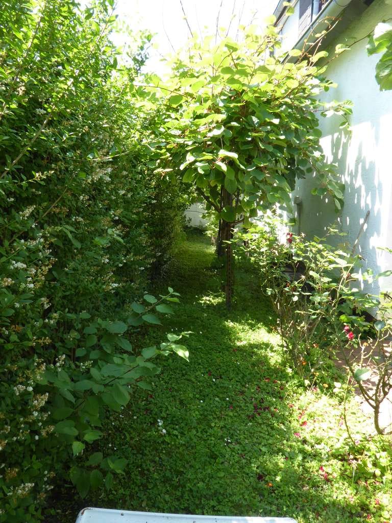 Immobilie in Freiberg am Neckar - 2-Familienhaus mit Ladenfläche, 2 Garagen, 3 PKW-Stellpl., großer Garten - Bild 3