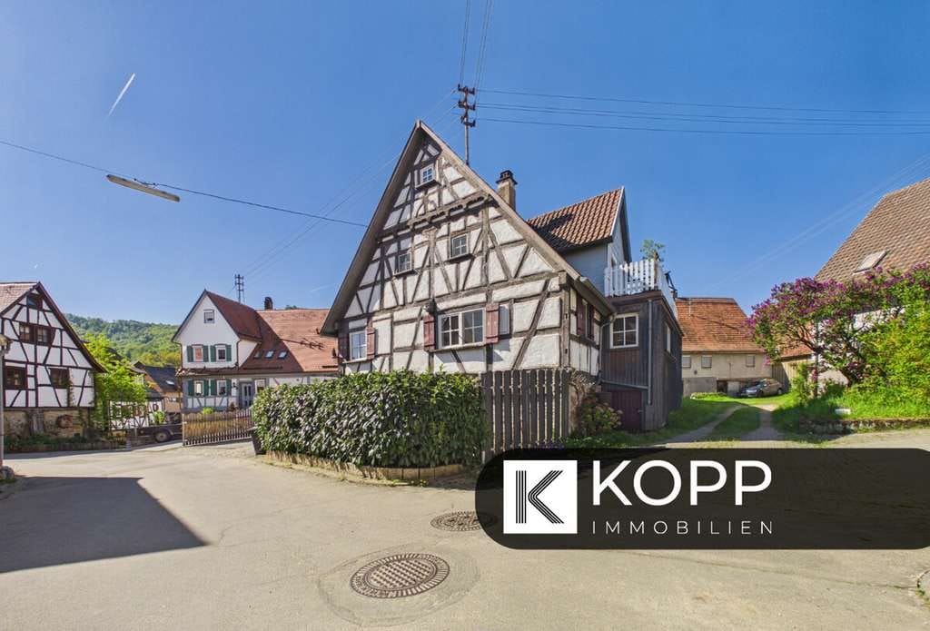 Immobilie in Beuren - Vielseitiges Einfamilienhaus mit Partyraum, Garagen und großer Dachterrasse in Beuren - Bild 0