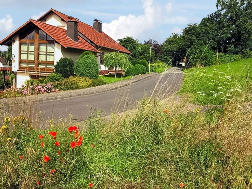 Immobilie in Naumburg - Wunderschönes Einfamilienhaus in traumhafter Lage von Naumburg-Elbenberg - Bild 1