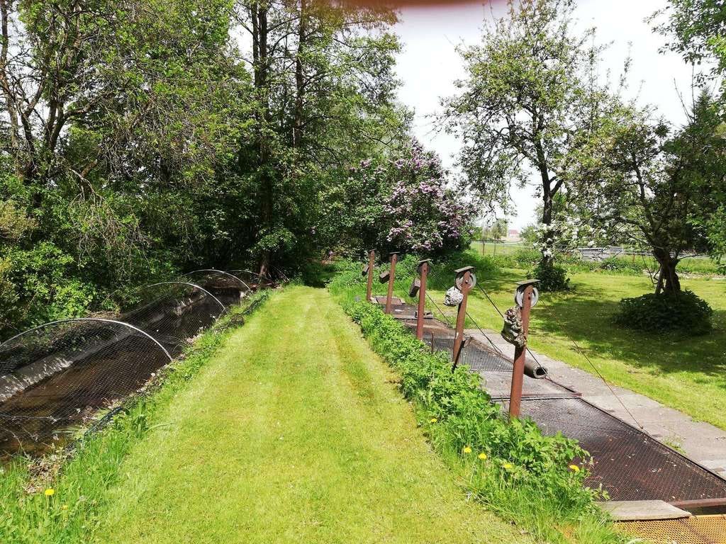 Immobilie in Tacherting - Idyllische Alleinlage im Urthal nähe Schnaitsee - Wohnhaus mit Fischerhütte und Teichen - 22.500qm - Bild 4