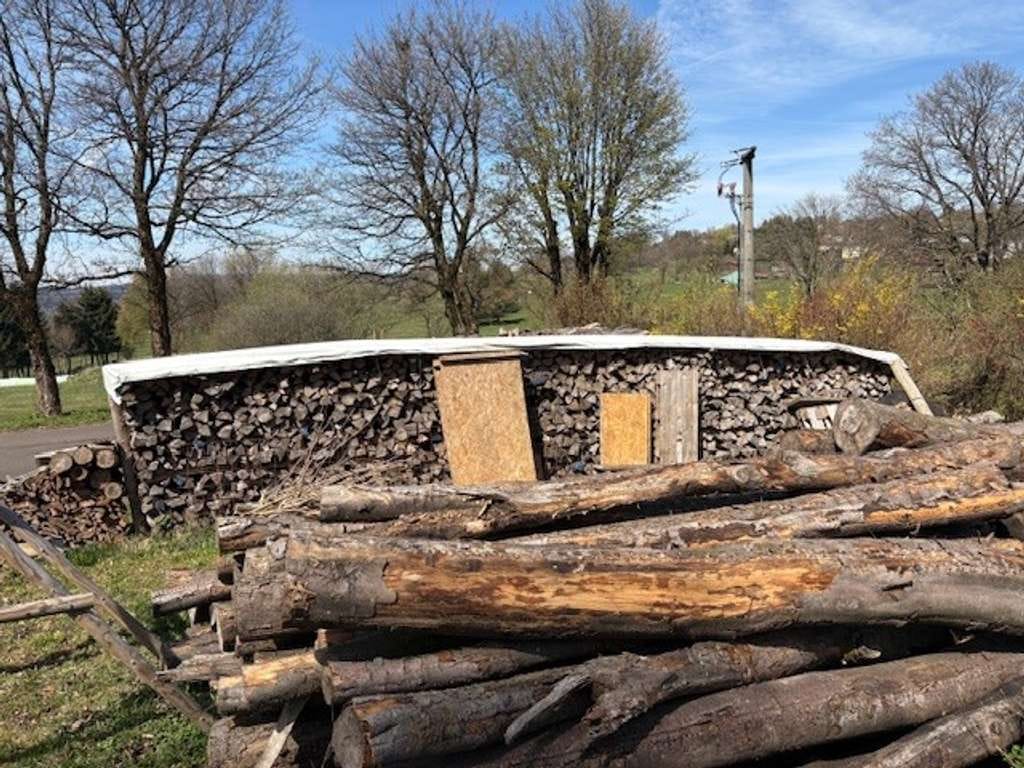 Immobilie in Grebenhain - Einfamilienhaus OT Herchenhain - mit Potential in ruhiger und ländlicher Umgebung - Bild 4