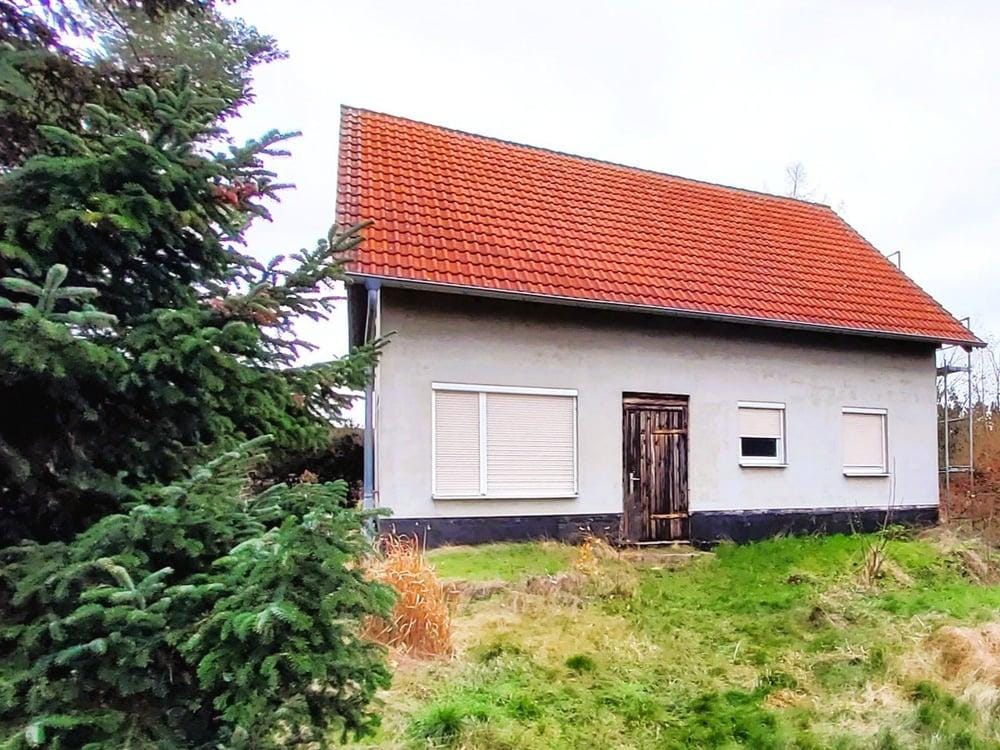 Immobilie in Trebsen/Mulde - Einfamilienhaus freistehend in Trebsen/Mulde - Bild 0