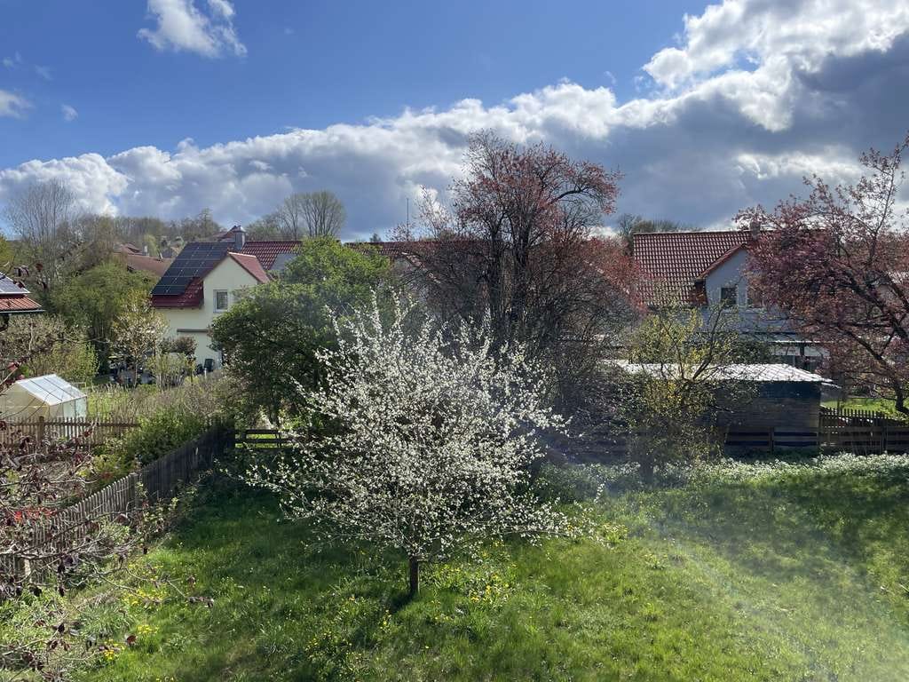 Immobilie in Apfeldorf - Traumanwesen - vielseitig nutzbar!
Ehemalige Schreinerei mit Wohnung 
und ausbaufähigem Loft - Bild 2