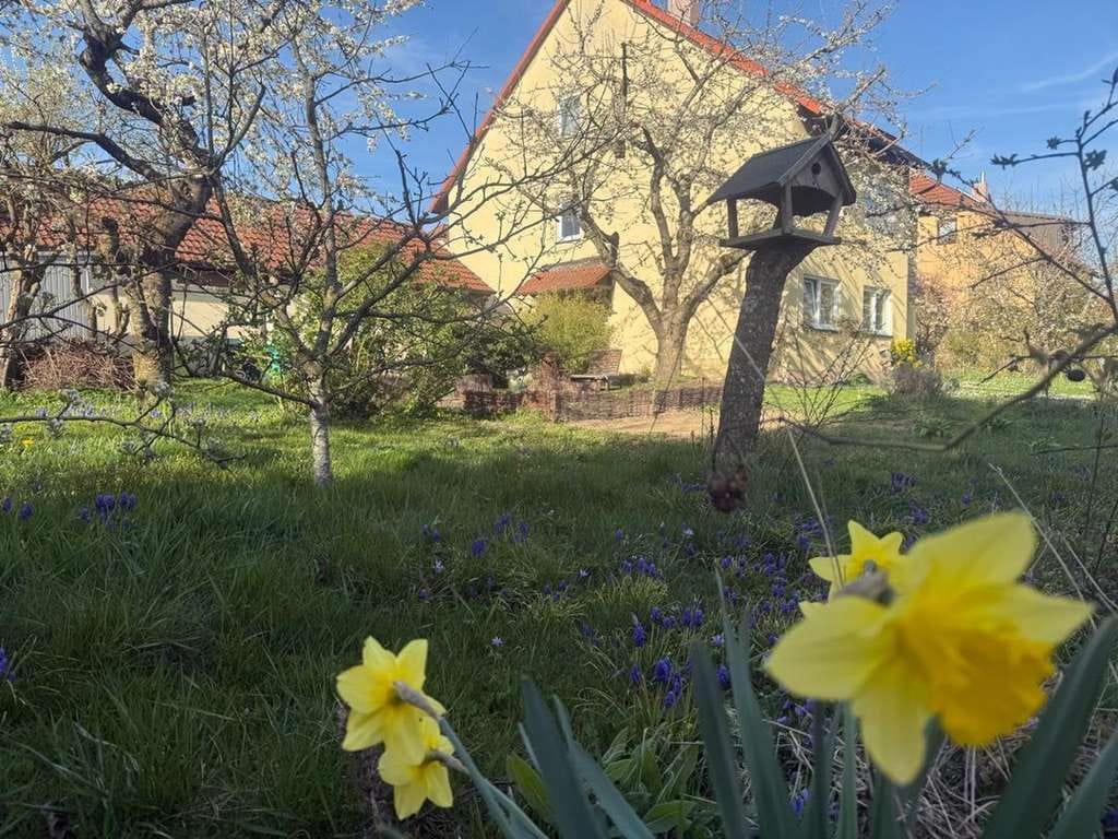 Immobilie in Rothenburg ob der Tauber - Doppelhaushälfte mit großem Grundstück in Rothenburg ob der Tauber - Bild 2
