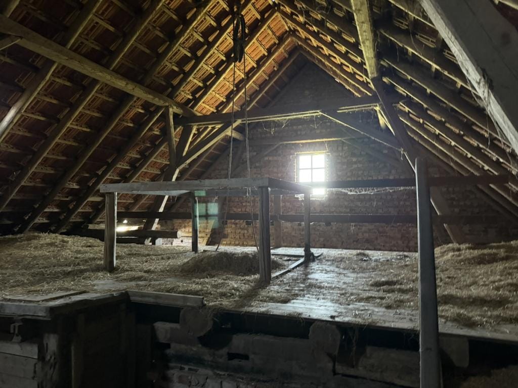 Immobilie in Spenge - Bauernhaus in Spenge (Wallenbrück) - Bild 1
