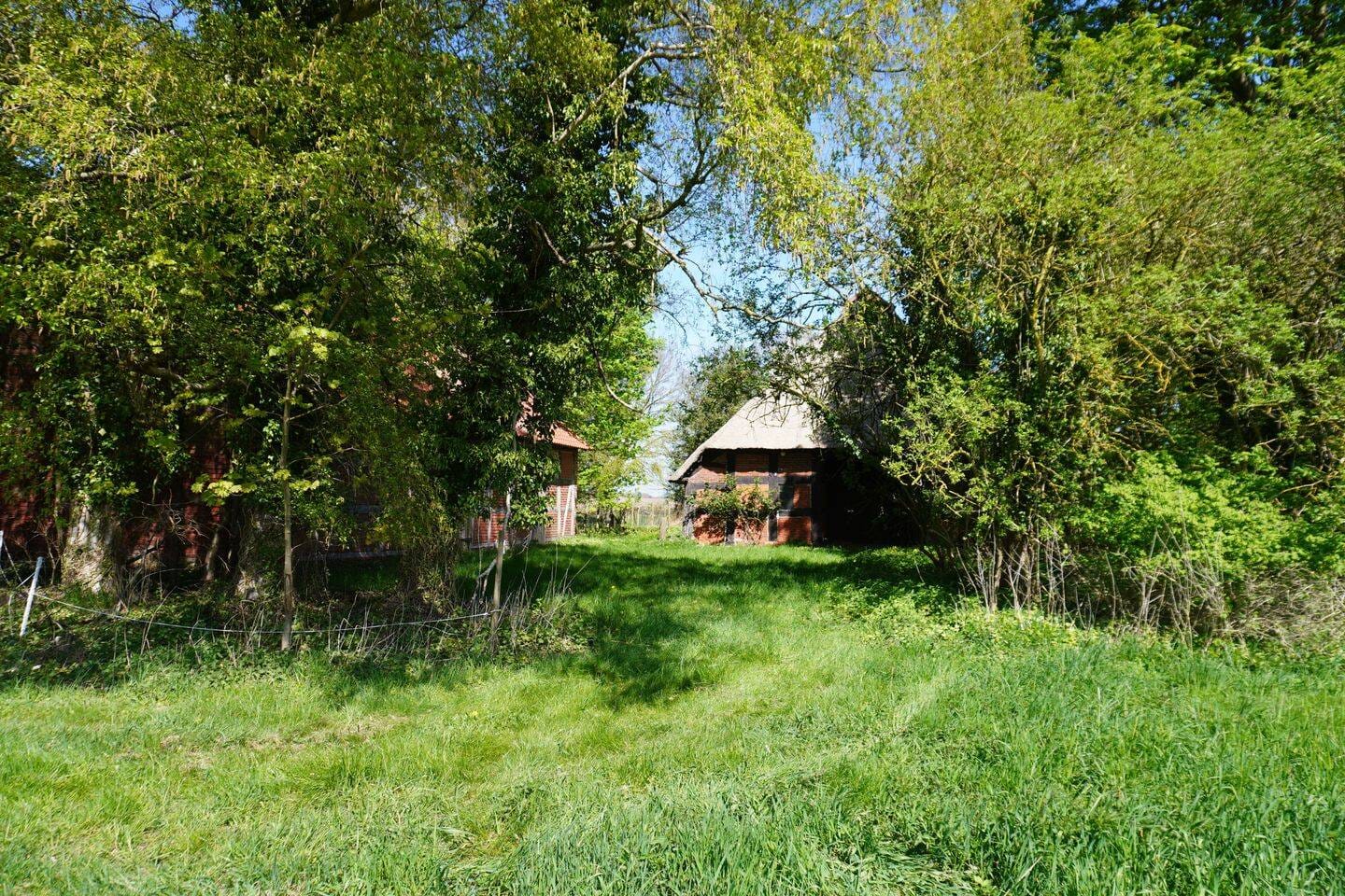 Immobilie in Bruchhausen-Vilsen - Charmantes Reetdachhaus mit Ausbaupotenzial in idyllischer Alleinlage - Bild 2