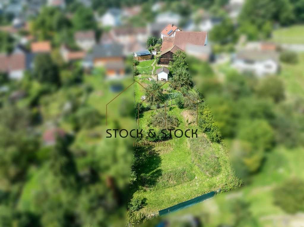 Immobilie in Schwarzach - Wohnen auf dem Land - Einfamilienhaus mit großem Grundstück - Bild 4