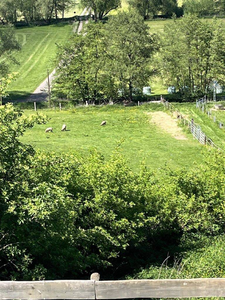 Immobilie in Twistetal - Landsitz in Alleinlage mit Weitblick - ca. 2,1 ha Anwesen in Twistetal! - Bild 3