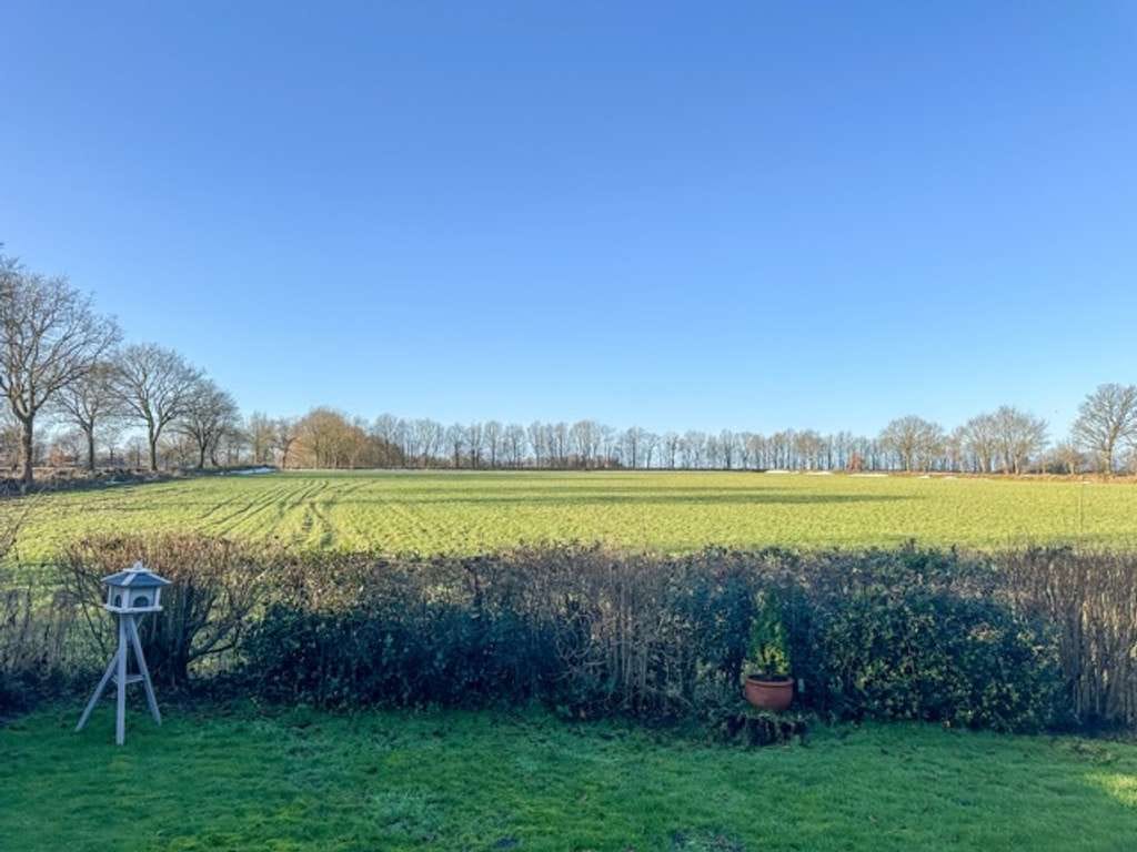 Immobilie in Tellingstedt - Großzügiges Einfamilienhaus in ruhiger Lage mit Wiesenblick in Tellingstedt zu verkaufen - Bild 4