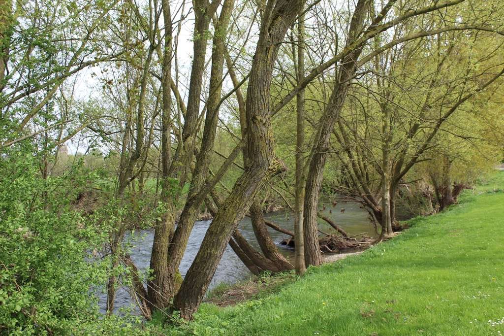 Immobilie in Lügde - Naturliebhaber und Investoren aufgepasst , 1,7 Hektar großes Grundstück mit Mehrfamilienhaus und großer Scheune. - Bild 4