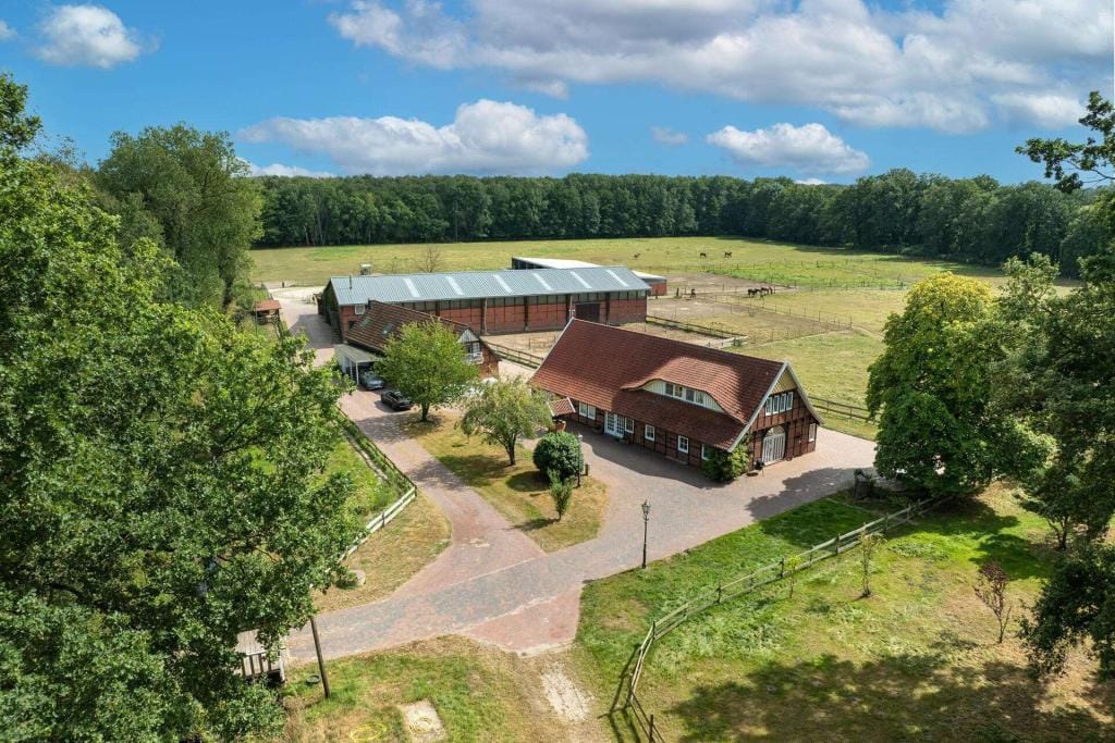 Immobilie in Menslage - Bauernhaus in Menslage (Hahlen) - Bild 2