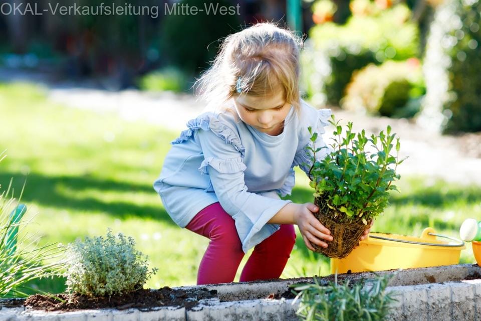 Immobilie in Wöllstadt - Einzugfertiges Einfamilienhaus zum Vorteilspreis - auf Ihrem Grundstück - Bild 0