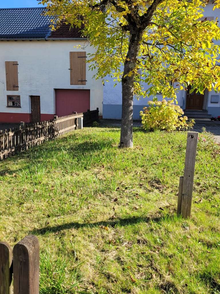 Immobilie in Mückeln - Reihenhaus mit 7 Zimmern und Garage in Mückeln - Bild 2