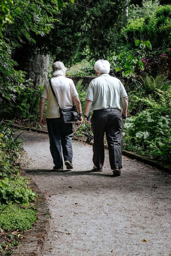 Immobilie in Höchenschwand - Pflegeimmobilie zu Verkaufen für Kapitalanleger ! - Bild 0