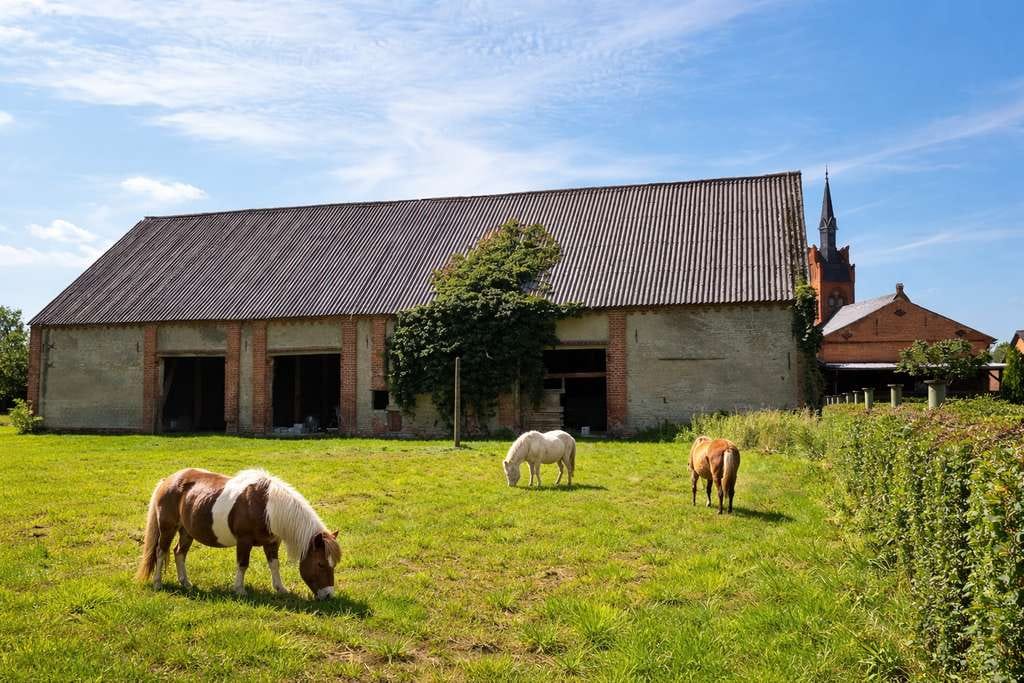 Immobilie in Putlitz - Zwischen HH & Berlin – Bauernhaus, Scheune, Teich, Streuobstwiese - Bild 2