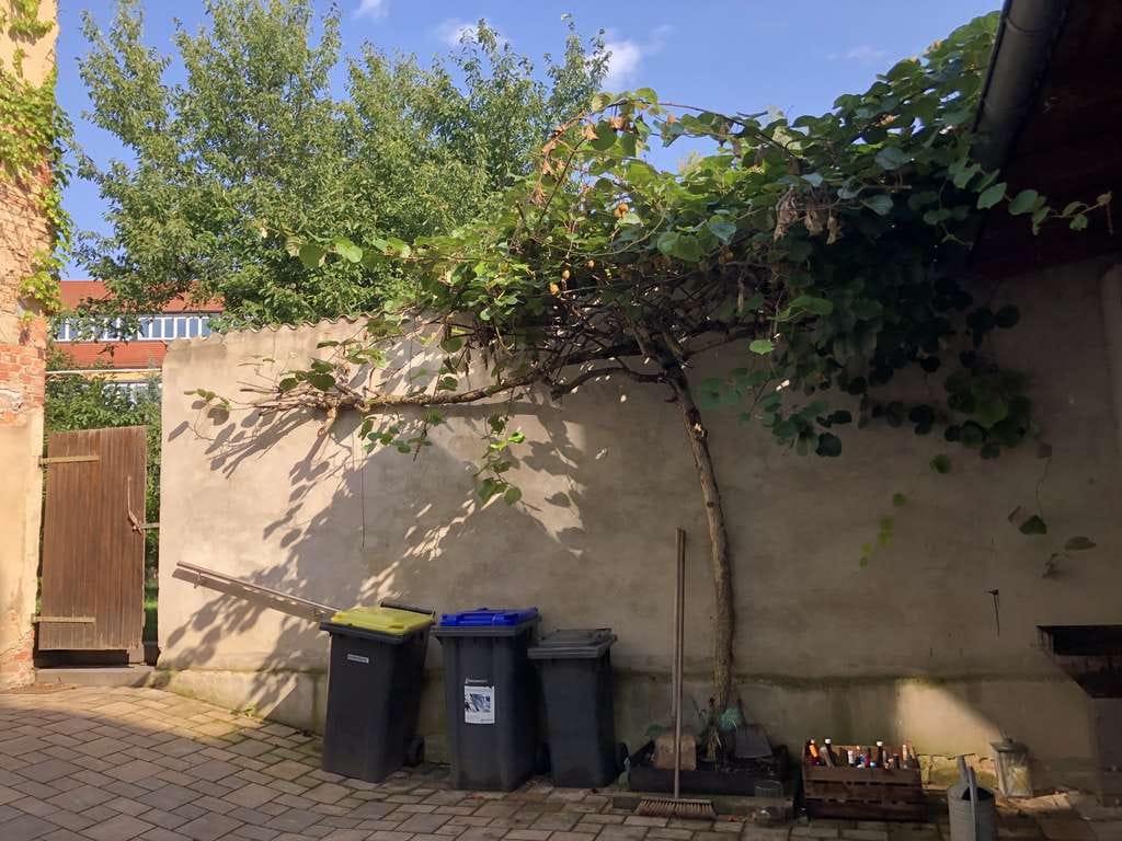 Immobilie in Apolda - APOLDA - Mehrfamilienhaus mit viel Potential durch Ausbaureserven, Nebengelaß u. Zufahrt - Bild 4