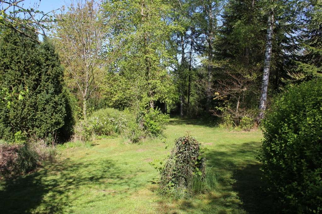 Immobilie in Hahnstätten - Einfamilienhaus mit Park - Bild 3