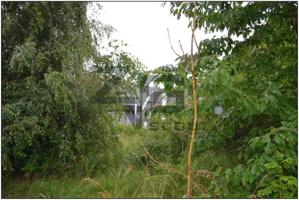 Immobilie in Dersau - Einfamilienhaus (Bungalow) in ruhiger Wohnlage mit attraktivem landschaftlichen Lagewert - Bild 0