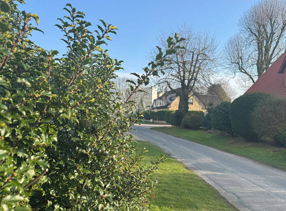Immobilie in Visbek - Bezugsfrei Zweifamilienhaus im Dornröschenschlaf | ca. 250 m² | 948 m² Grundstück - Bild 1