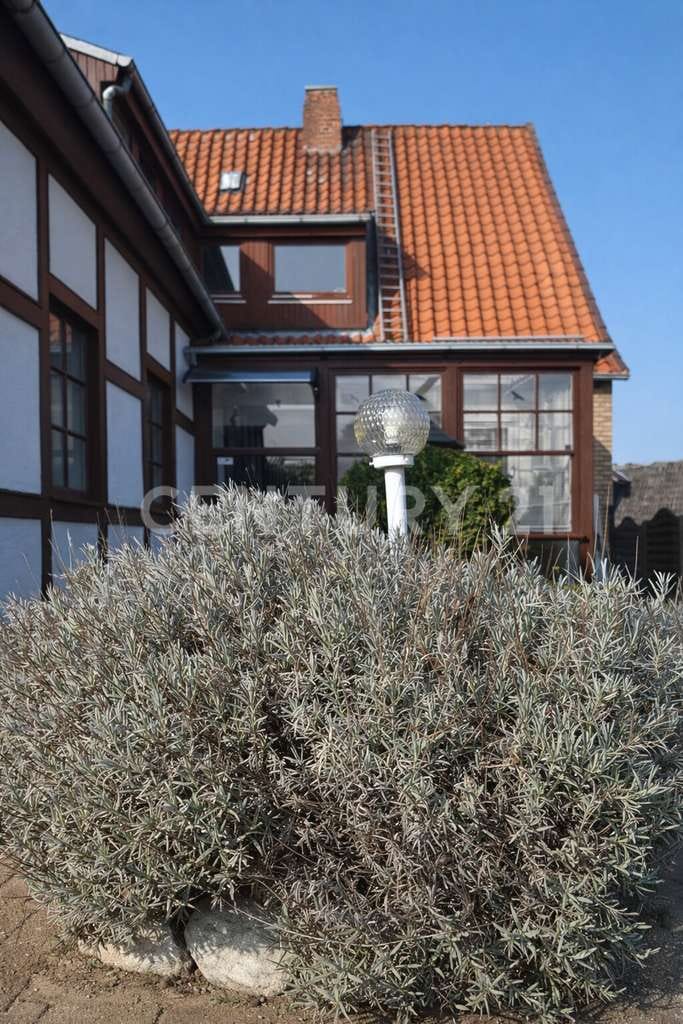 Immobilie in Hanstedt - Großzügige Landidylle mit traumhaftem Garten - Bild 3