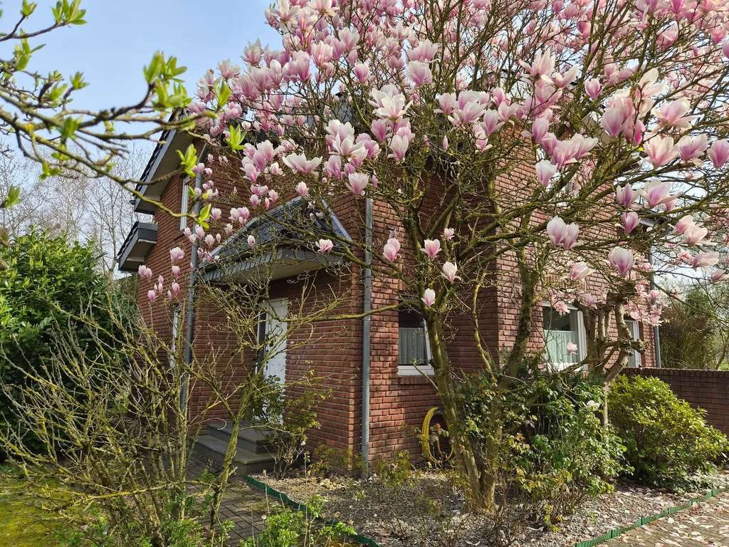 Immobilie in Rheurdt - Einladendes Einfamilienhaus mit Garten im Ferienwohngebiet von Rheurdt - Bild 2