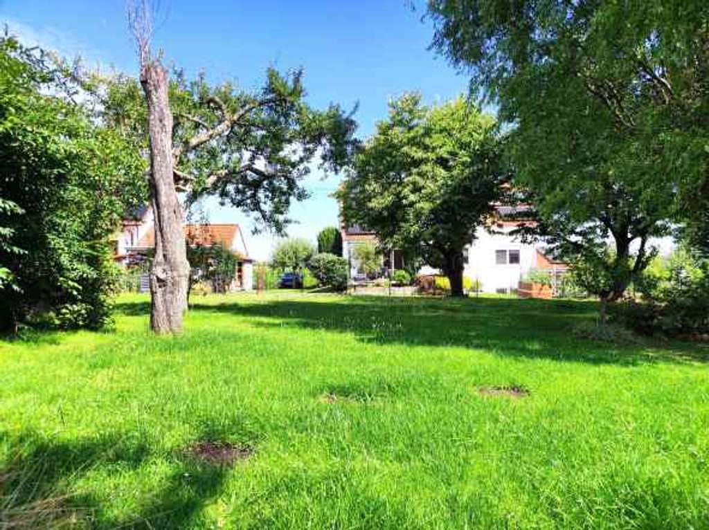 Immobilie in Neustetten - # Einfamilienhaus # großes Grundstück - Bild 3