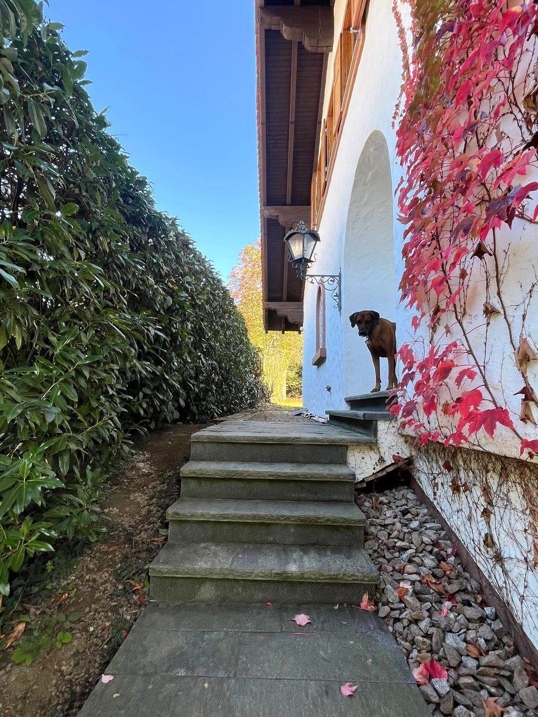 Immobilie in Wittlingen - Elegantes Landhaus mit großem Garten in toller Lage in Wittlingen - Bild 1