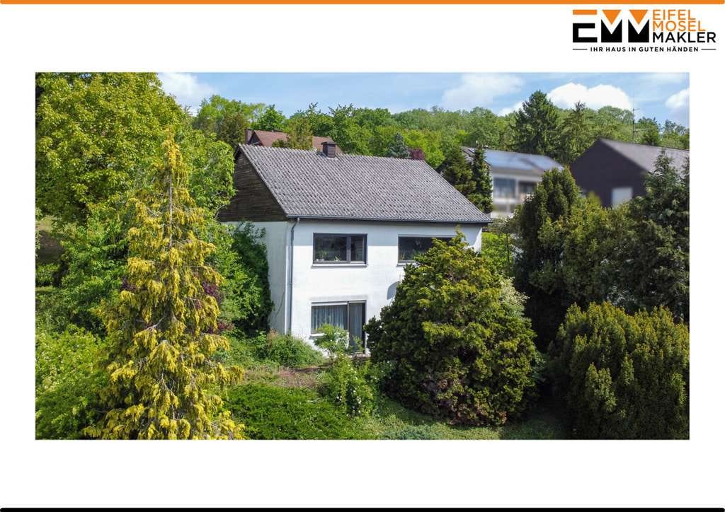 Immobilie in Trierweiler - Einfamilienhaus in Top Lage - Bild 0