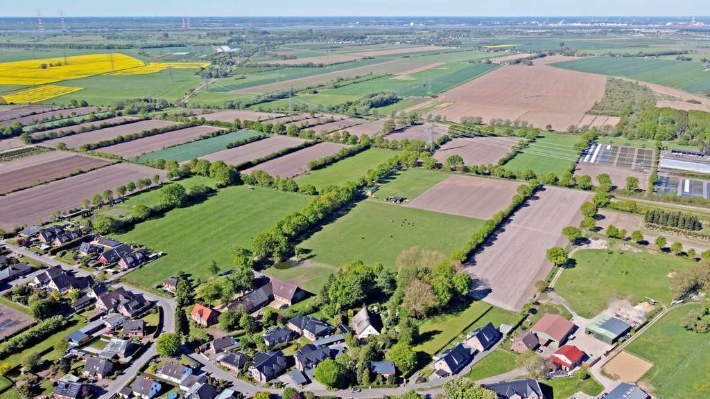 Immobilie in Heist - Historisches Reetdachhaus mit großem Grundstück und eigenem Wald zum Kauf in Heist - Wentzel Dr. - Bild 3