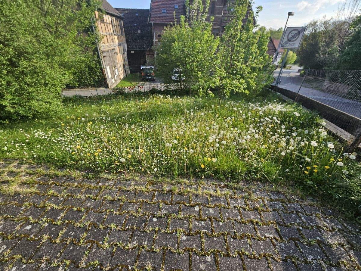 Immobilie in Edermünde - Modernisiertes Einfamilienhaus mit Garten in Edermünde - Bild 1