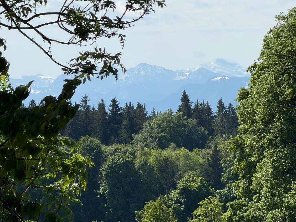 Immobilie in Schäftlarn - Tolle Aussichten! Helles REH in Ebenhausen - Bergblick mit charmanten Grundstück - Bild 0