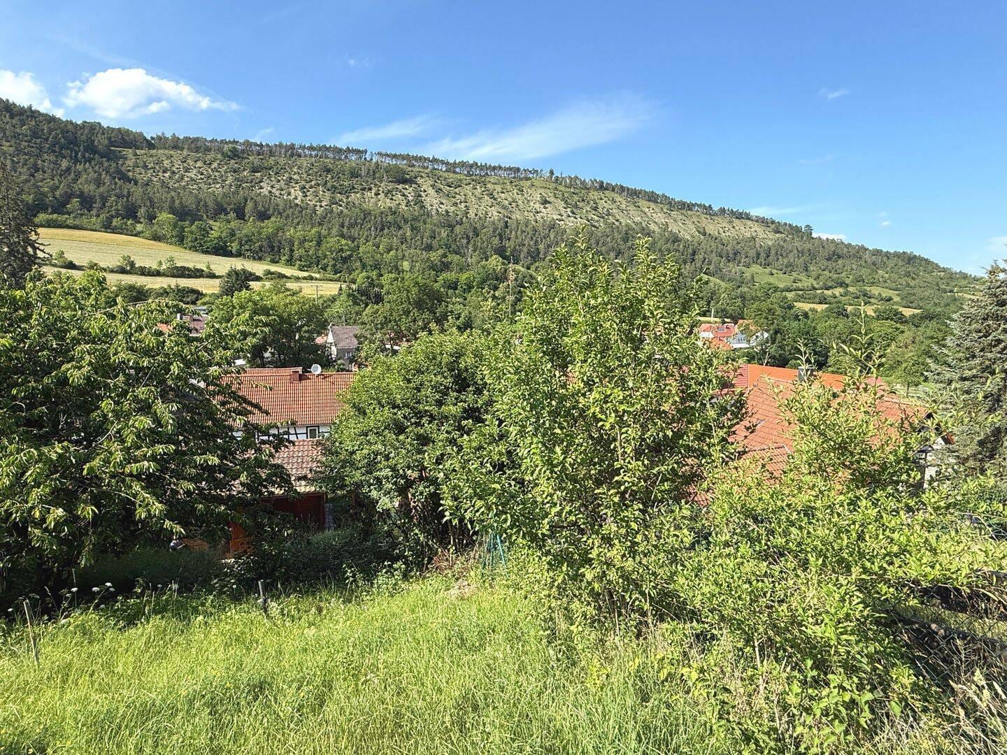 Immobilie in Jena - Traumhaft schönes Wochenendhaus auf einem Südhang-Grundstück in Jena-Leutra zum Verkauf - Bild 3
