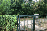 Immobilie in Werder (Havel) - Freistehendes Einfamilienhaus in idyllischer Waldrandlage von Werder - Bild 1