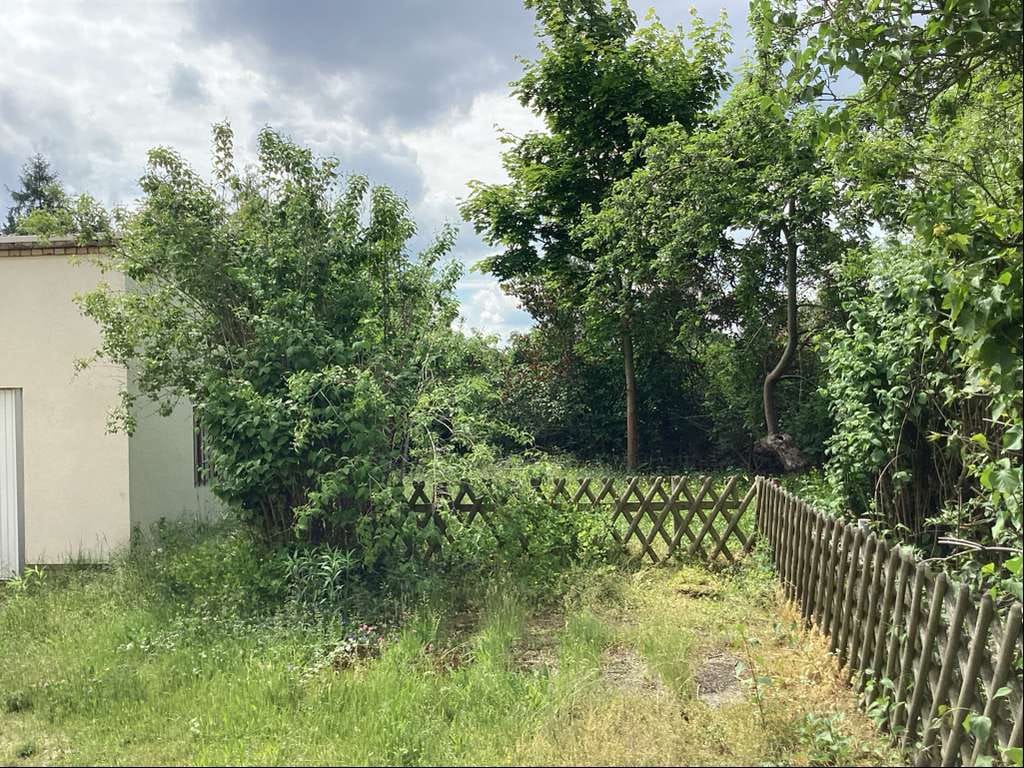 Immobilie in Schipkau - Geräumiges Einfamilienhaus mit Einliegeroption in ruhiger Lage von Klettwitz Schipkau - Bild 2