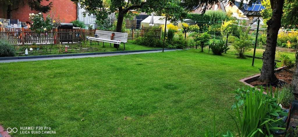 Immobilie in Hasbergen - Modernisiertes Einfamilienhaus mit 799 m² Grundstück, Wintergarten & A+ Energieeffizienz - Bild 3