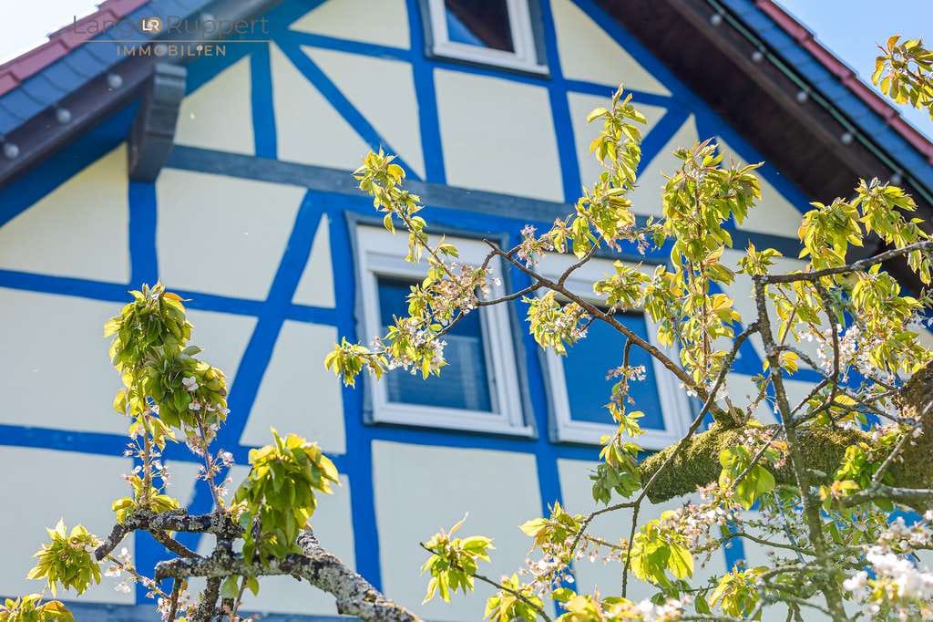 Immobilie in Lautertal - Stilvolles Einfamilienhaus mit besonderem Wohnambiente - Bild 3