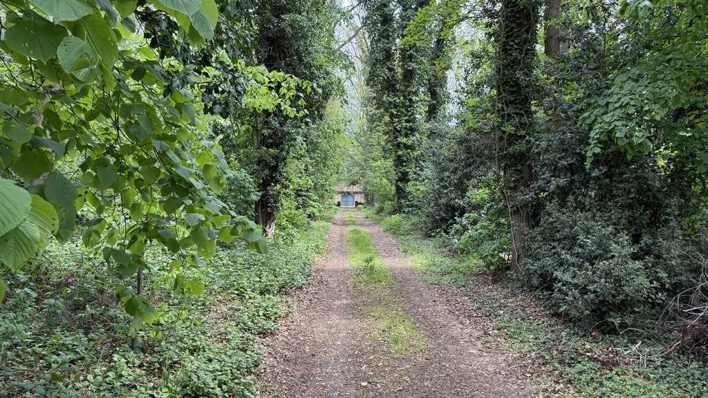 Immobilie in Gehrde - 85 ha Fachwerkhof / Gutshof mit Eigenjagd - Bild 1