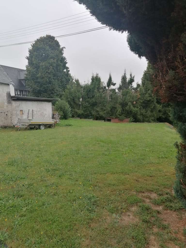 Immobilie in Steinefrenz - Einfamilienhaus mit großer Scheune und großem Grundstück - Bild 4