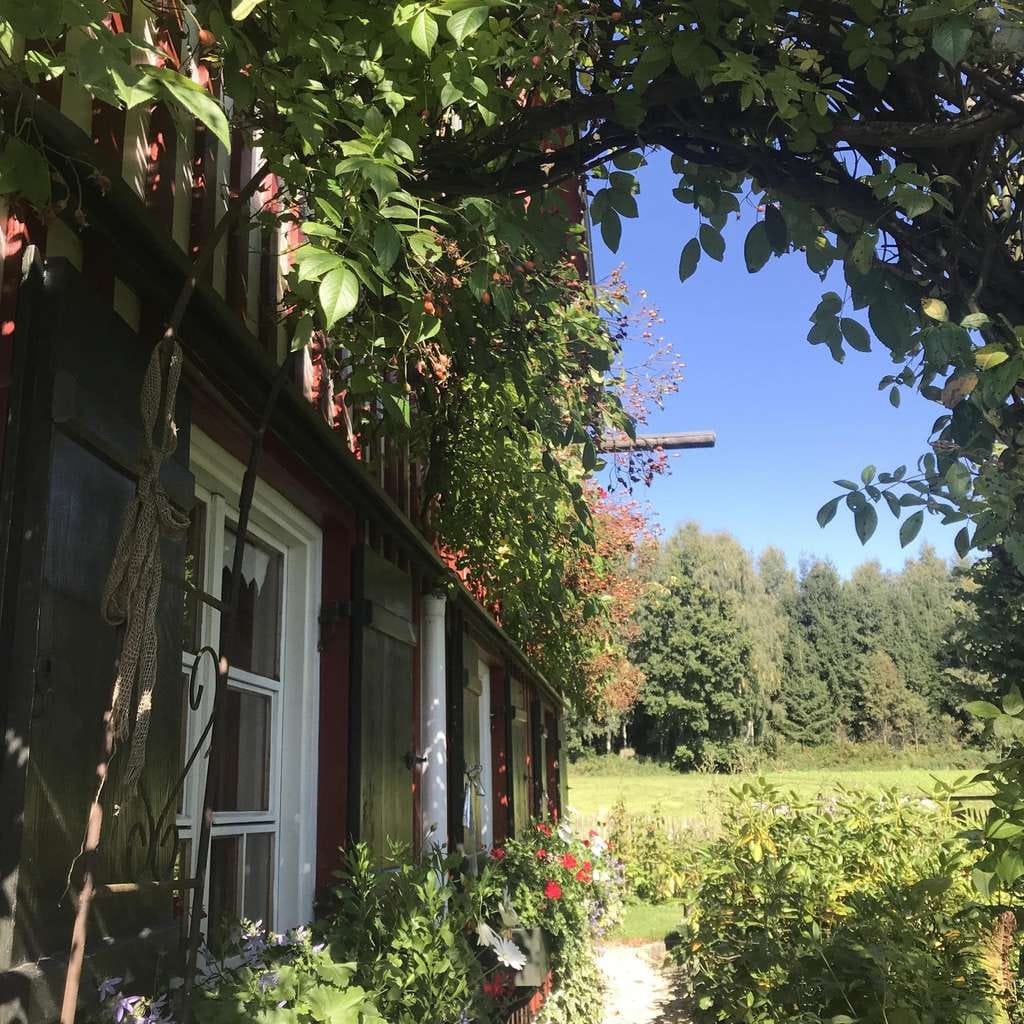 Immobilie in Rot an der Rot - Naturnahes Wohnen mit Alpenblick – Charmantes Anwesen auf dem Buckenhof - Bild 3