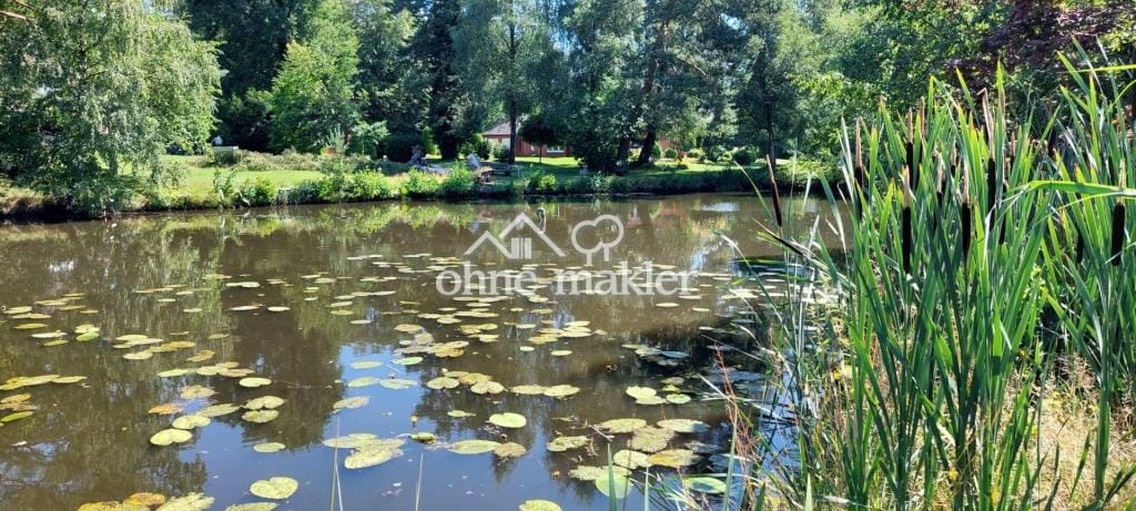 Immobilie in Hambergen -  - Bild 2