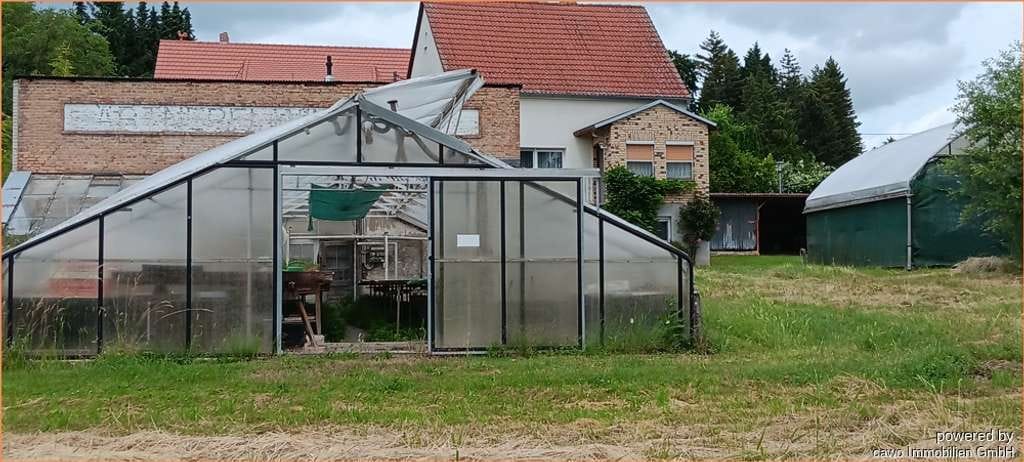 Immobilie in Oderberg - Ehmalige Gärtnerei mit Wohnhaus, Gewächshaus, Nebengelassen auf 3.500 m² Land - Bild 1