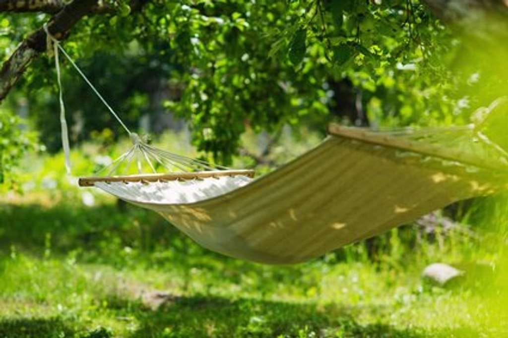 Immobilie in Schwarzburg - Endlich in den eigenen 4 Wänden wohnen - Bild 1