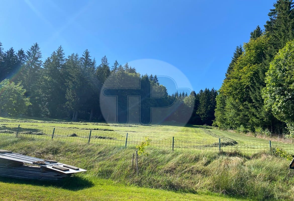 Immobilie in Freyung - FERNBLICK - GROßES LANDHAUS MIT FEWO TIERHALTUNG GEEIGNET - Bild 1