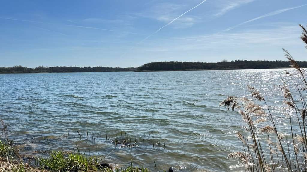 Immobilie in Giekau - Wohnen am Selenter See - Einfamilienhaus - Bild 2