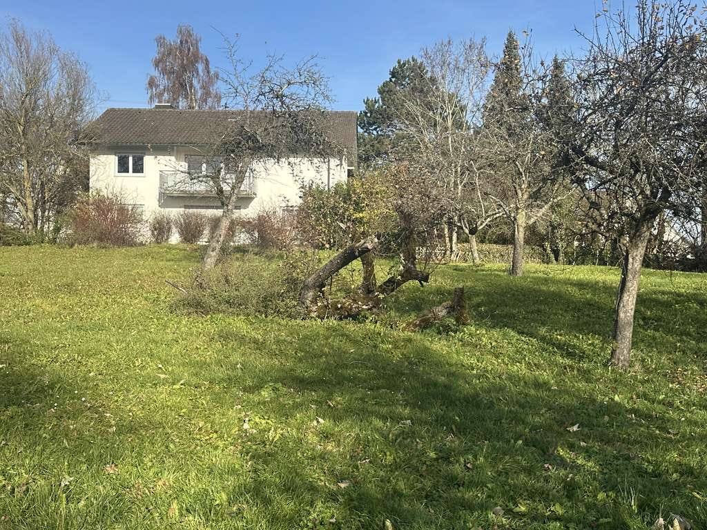 Immobilie in Hüfingen - 60er-Jahre Pfarrhaus mit paradiesischem Garten (Erbpacht) bei Donaueschingen - Bild 2